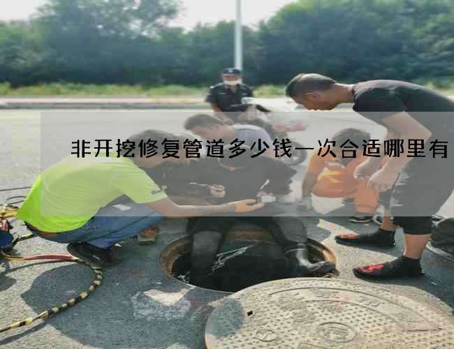 非开挖修复管道多少钱一次合适哪里有