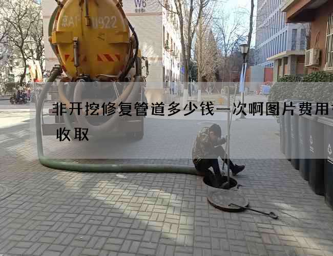 非开挖修复管道多少钱一次啊图片费用如何收取