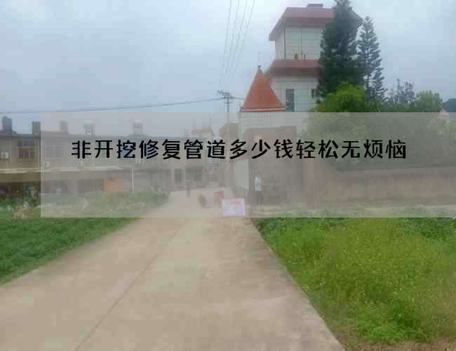 非开挖修复管道多少钱轻松无烦恼