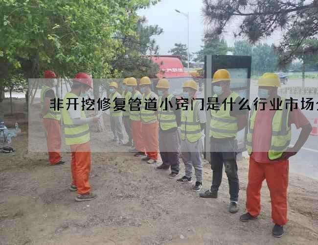 非开挖修复管道小窍门是什么行业市场分析