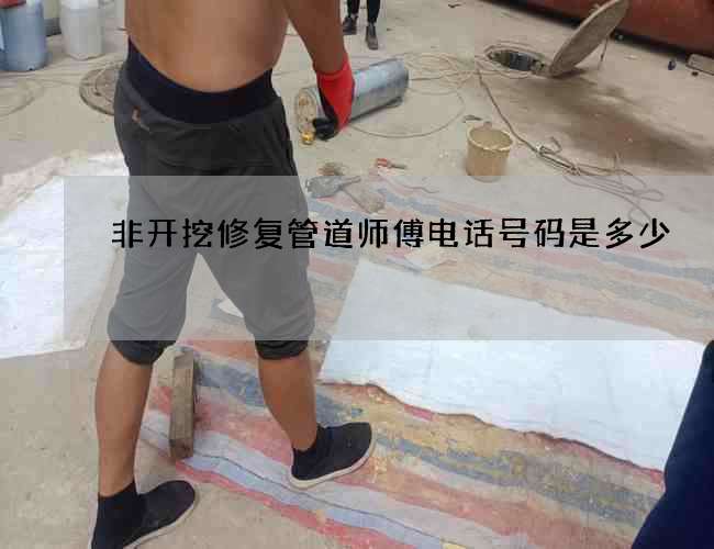 非开挖修复管道师傅电话号码是多少?的方案