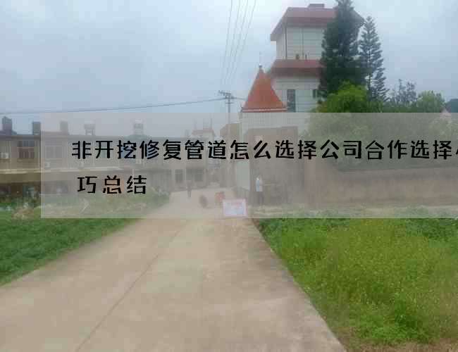 非开挖修复管道怎么选择公司合作选择小技巧总结