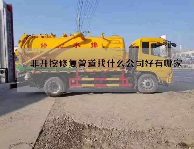 非开挖修复管道找什么公司好有哪家