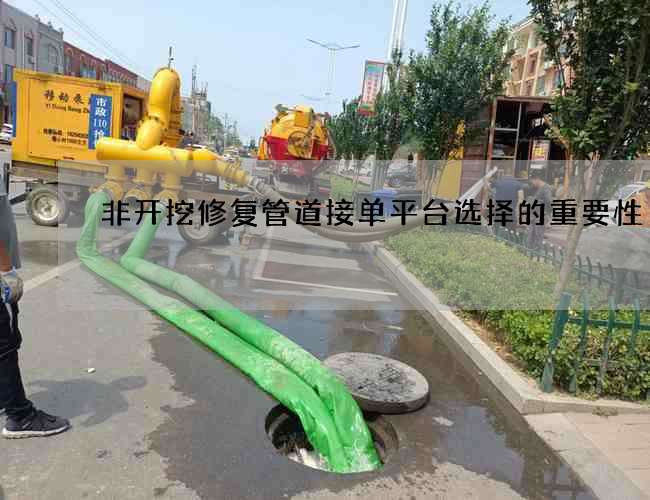 非开挖修复管道接单平台选择的重要性