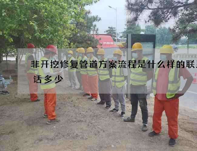 非开挖修复管道方案流程是什么样的联系电话多少