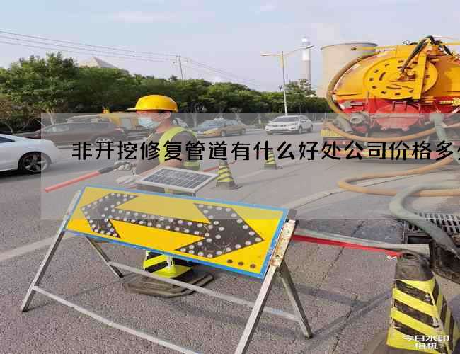 非开挖修复管道有什么好处公司价格多少