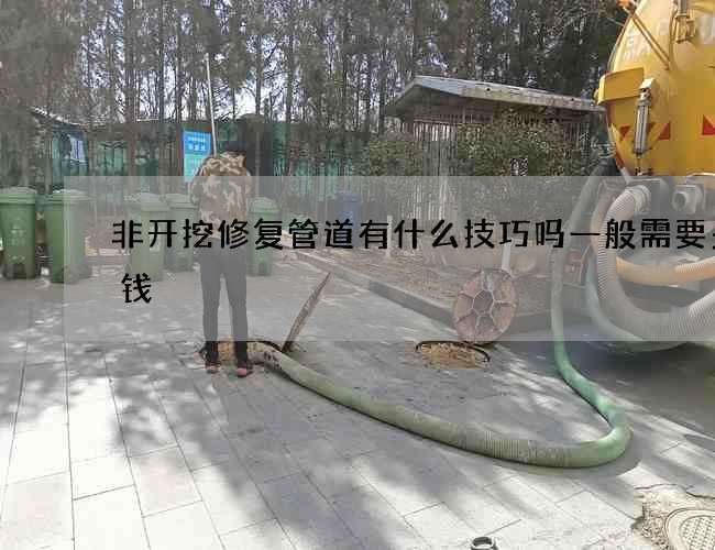 非开挖修复管道有什么技巧吗一般需要多少钱