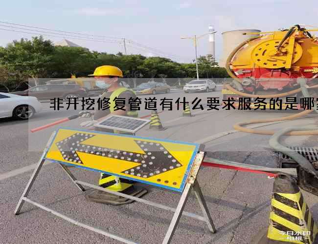 非开挖修复管道有什么要求服务的是哪家 非开挖修复管道有什么要求服务的是哪家