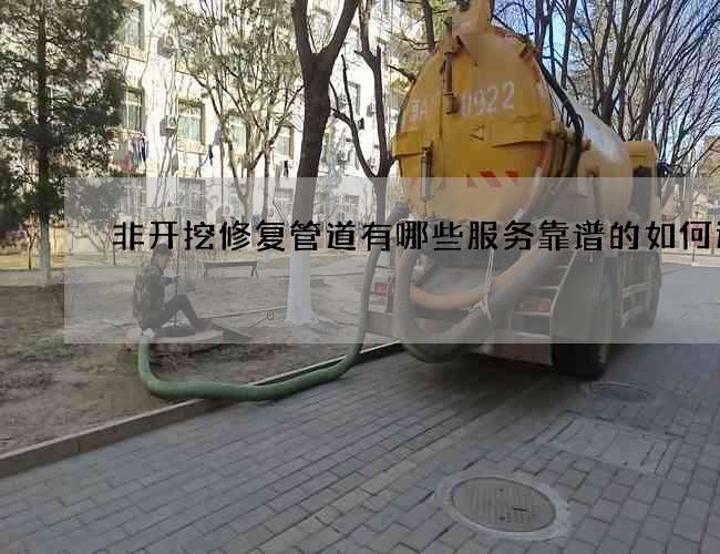 非开挖修复管道有哪些服务靠谱的如何选