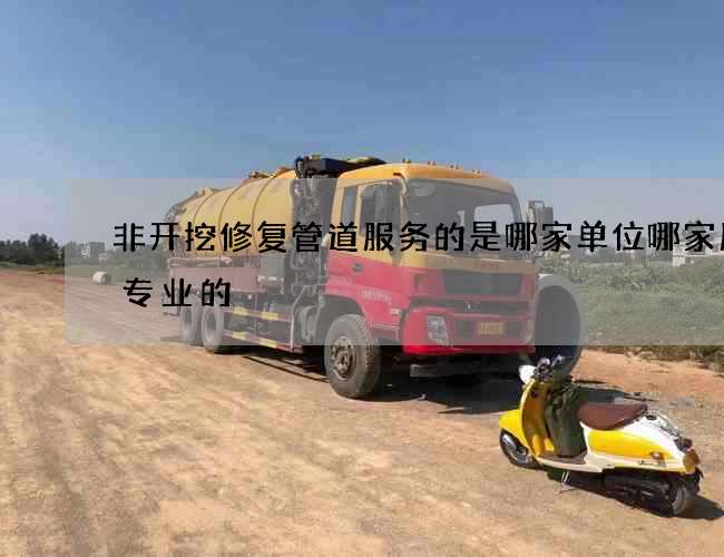 非开挖修复管道服务的是哪家单位哪家服务专业的