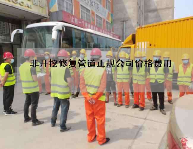 非开挖修复管道正规公司价格费用