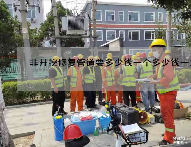 非开挖修复管道要多少钱一个多少钱一方