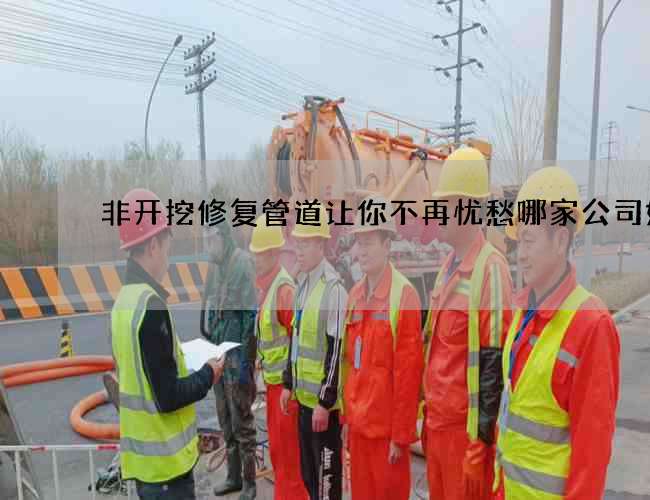 非开挖修复管道让你不再忧愁哪家公司好