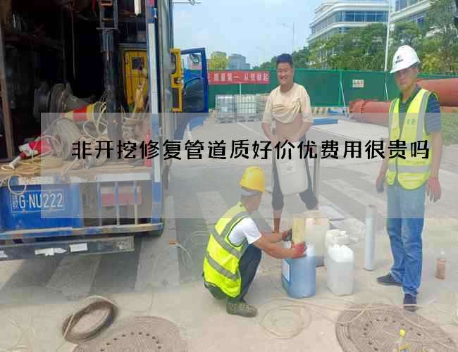非开挖修复管道质好价优费用很贵吗