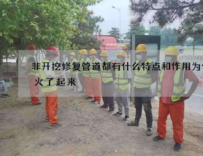 非开挖修复管道都有什么特点和作用为什么火了起来