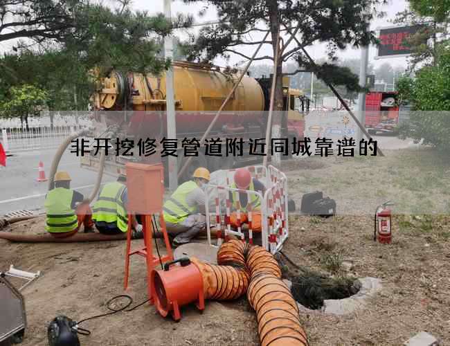 非开挖修复管道附近同城靠谱的