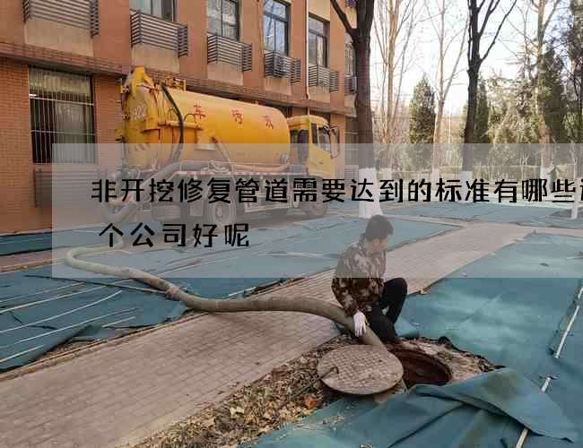 非开挖修复管道需要达到的标准有哪些选哪个公司好呢