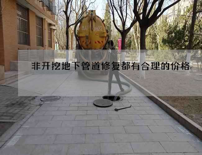 非开挖地下管道修复都有合理的价格