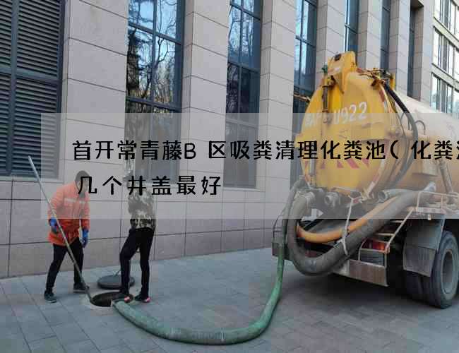 首开常青藤B区吸粪清理化粪池(化粪池留几个井盖最好) 首开常青藤B区吸粪清理化粪池(化粪池留几个井盖最好)
