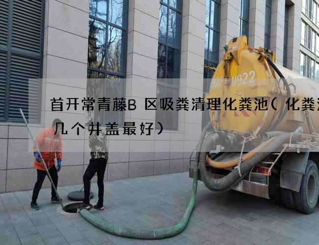 首开常青藤B区吸粪清理化粪池(化粪池留几个井盖最好)