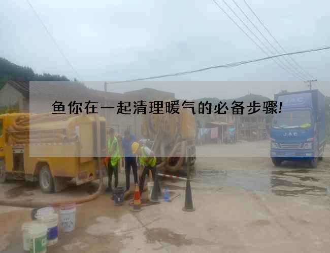 鱼你在一起清理暖气的必备步骤!