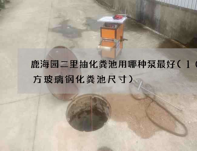 鹿海园二里抽化粪池用哪种泵最好(100方玻璃钢化粪池尺寸)