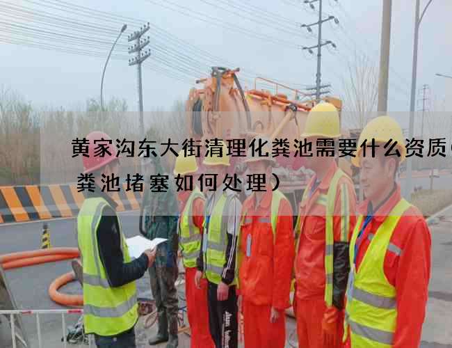 黄家沟东大街清理化粪池需要什么资质(化粪池堵塞如何处理)