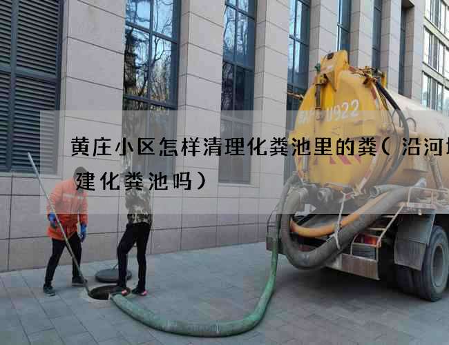 黄庄小区怎样清理化粪池里的粪(沿河堤能建化粪池吗)