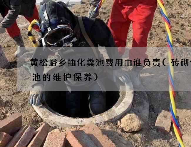 黄松峪乡抽化粪池费用由谁负责(砖砌化粪池的维护保养)