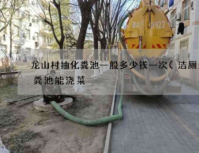 龙山村抽化粪池一般多少钱一次(洁厕灵化粪池能浇菜) 龙山村抽化粪池一般多少钱一次(洁厕灵化粪池能浇菜)