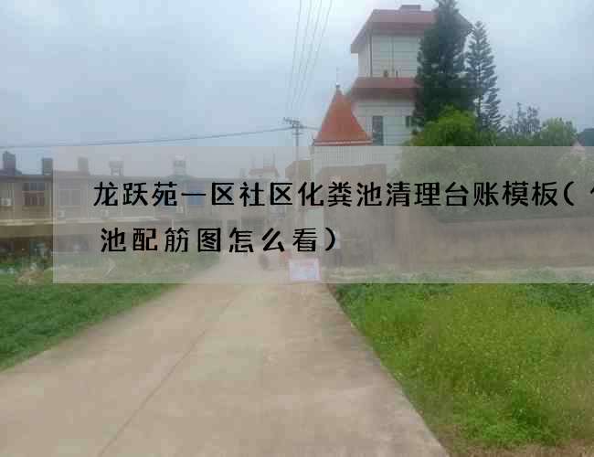 龙跃苑一区社区化粪池清理台账模板(化粪池配筋图怎么看)